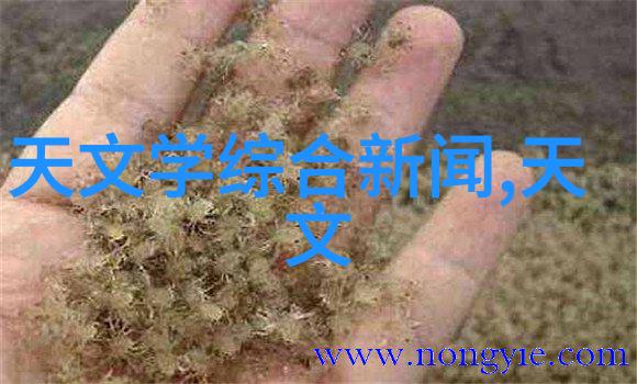 智能手环行业发展趋势深度分析智能穿戴设备市场研究