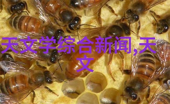 解密供应链中的黑马世界为什么将目光聚焦于中国这三个地区