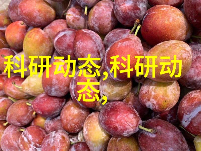 填料型号规范化管理与应用实践
