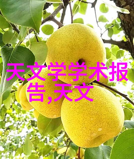 实验室烘干箱高效温控的样本保鲜伙伴