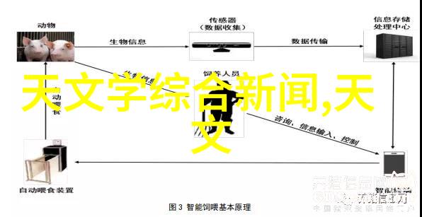 穿越梦境的爱恋每晚都进入男神世界的奇幻冒险