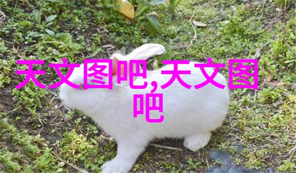 医疗高压灭菌设备厂专业制造高效医用消毒器