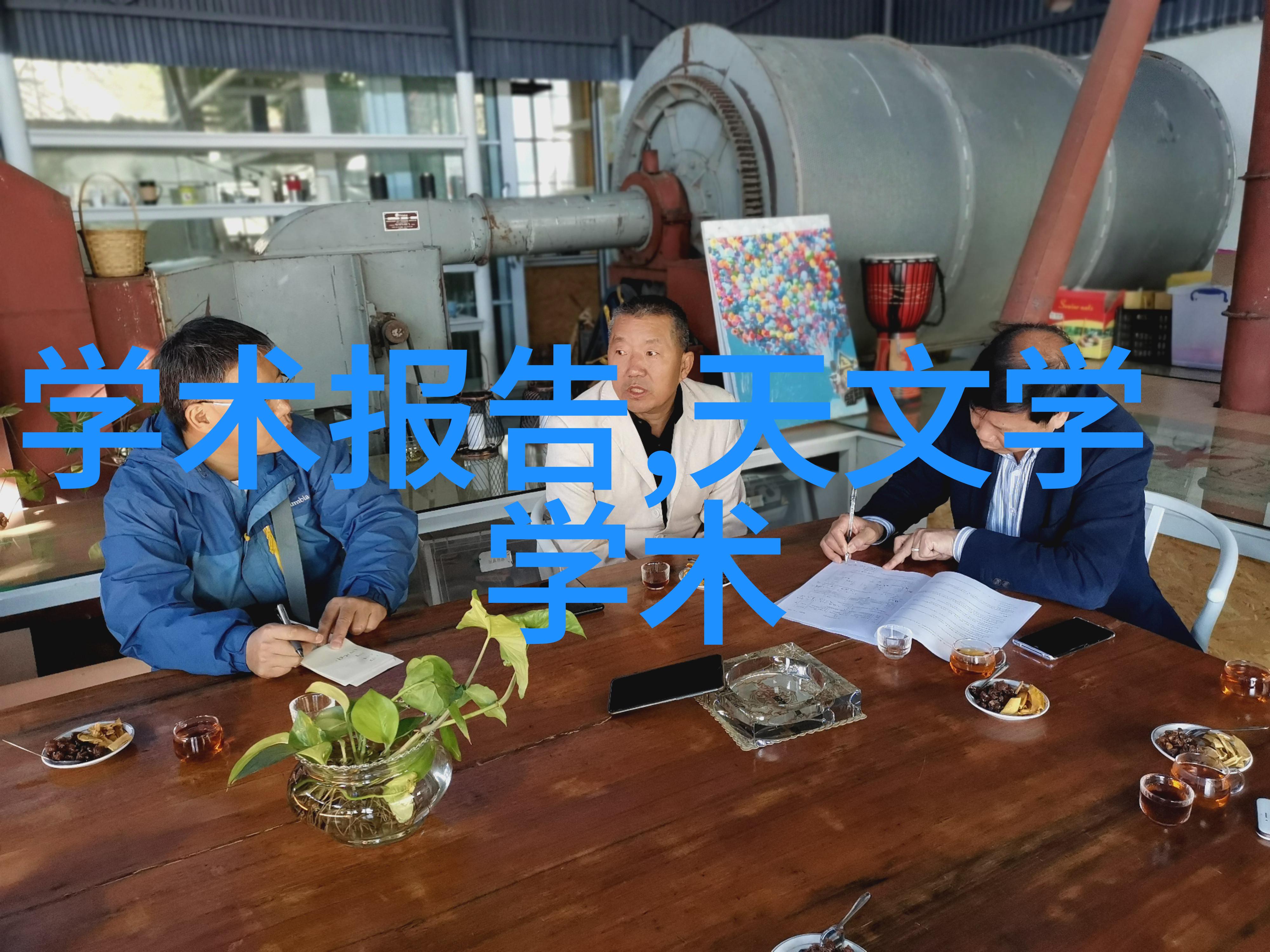 人工湿地火山岩填料-提升生态系统效率的高效填料材料
