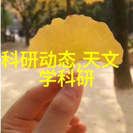 不锈钢卫生泵清洁无畏的生活新选择