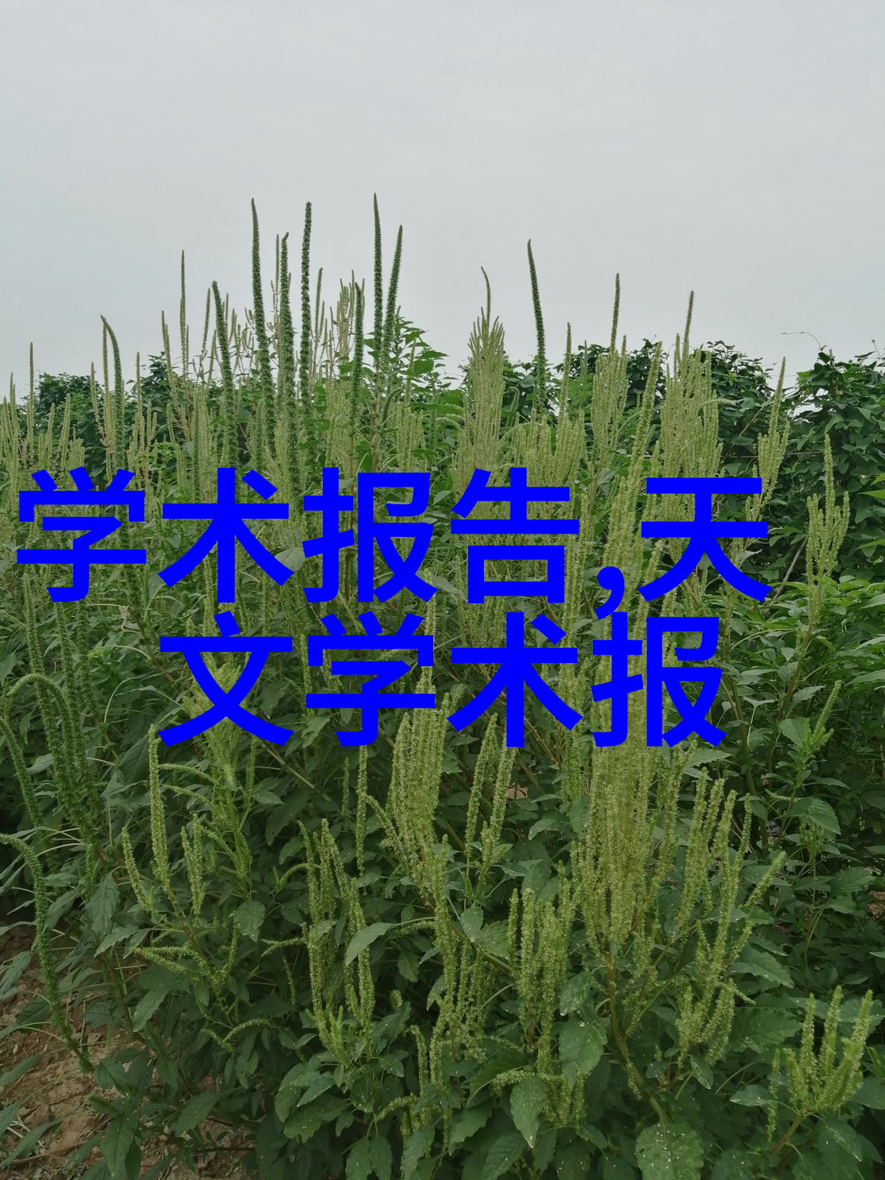 水产养殖测水质仪器确保鱼类健康的关键技术