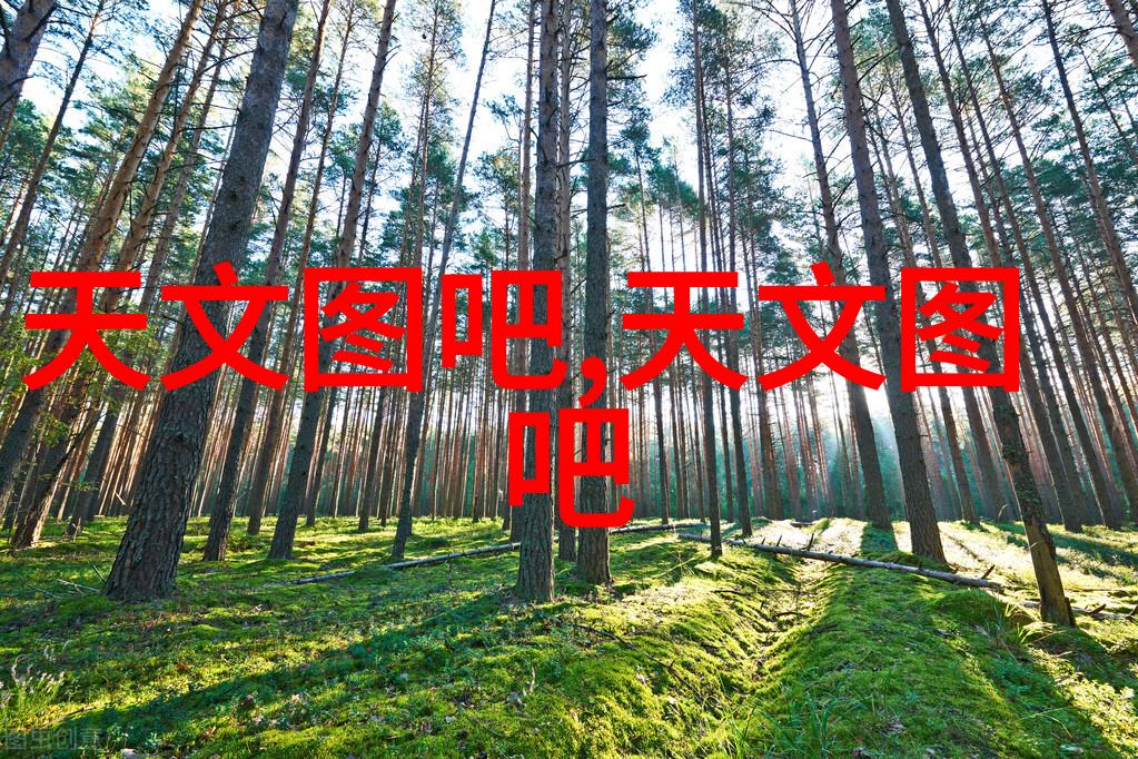 环境友好型化工药包材制造设备现实可行吗