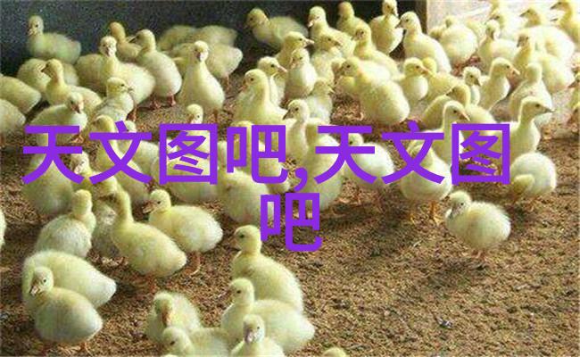 歪歪漫画登录页面免费漫画看秋蝉 - 秋蝉之谜揭秘歪歪漫画的免费阅读世界