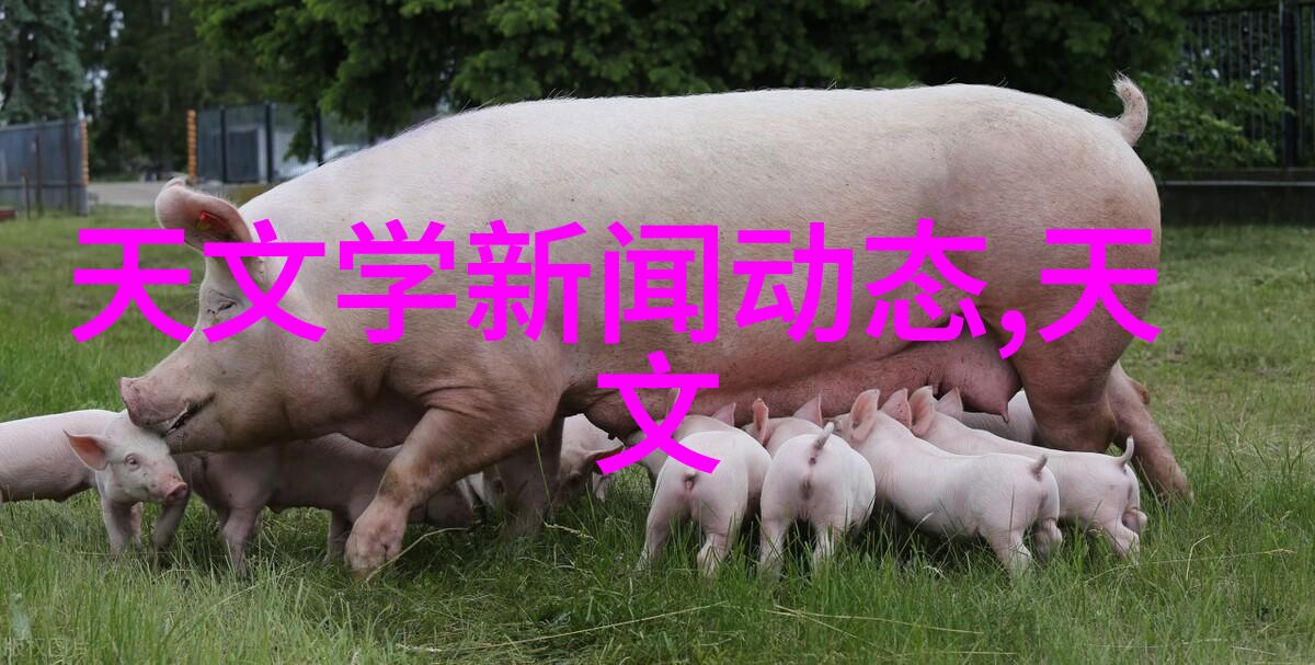 过滤器维护和更换周期对于提高用家满意度的重要性