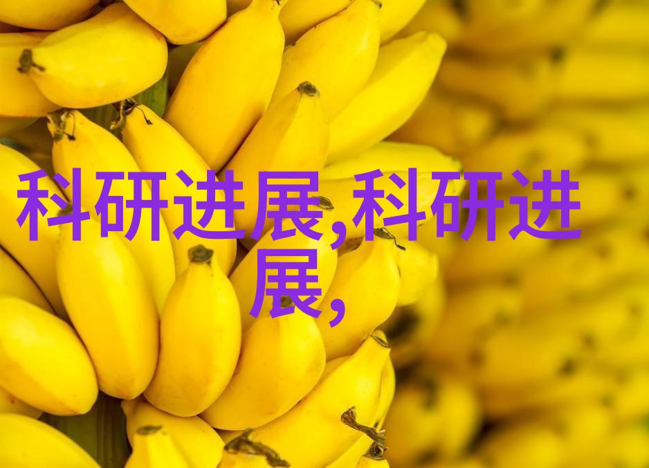 专题工作报告概述