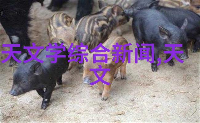 反应器内部构件关键设备与操作原理解析