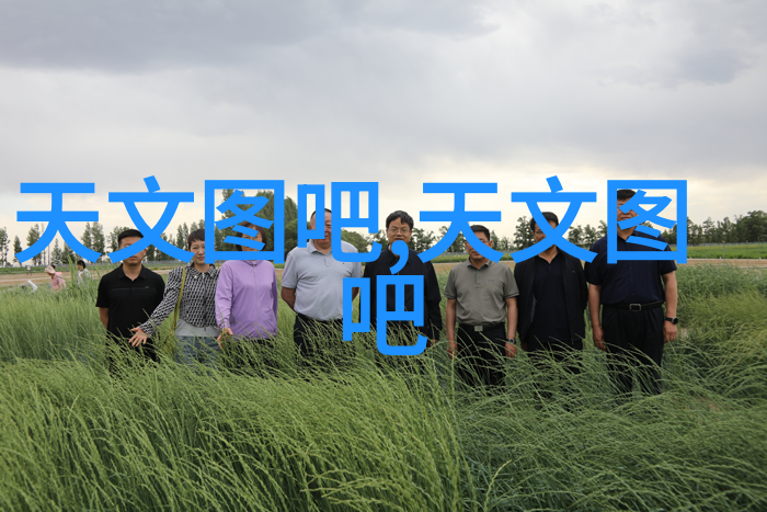 才上心头小说心动的文学世界