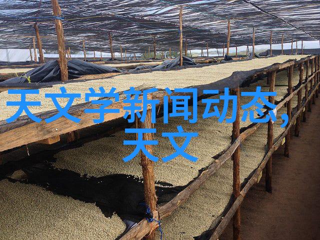 华南师大通报钟某吴某论文存在抄袭等学术不端行为