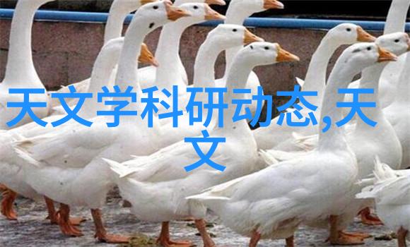 江西财经大学学术与实践的融合之地