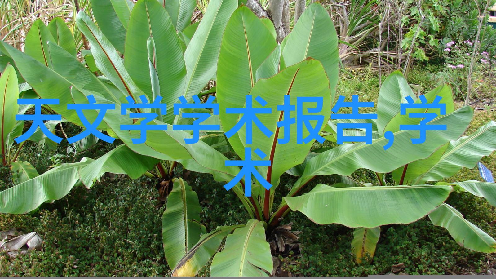 管式螺旋输送机我这不就说过要搞个简易的食物输送系统吗
