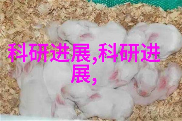 我来告诉你咱们这家杀虫公司的收费标准你得知道