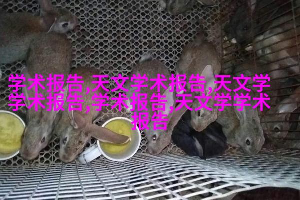 自然色彩温馨家庭住宅