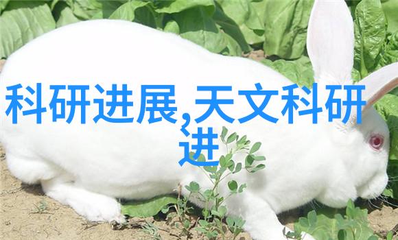 实验室高压灭菌锅型号高效安全的生物样本处理设备