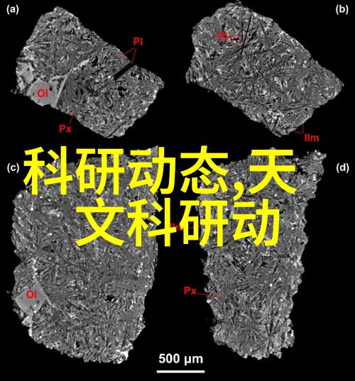中国芯片巨头领航者创新者与市场的希望