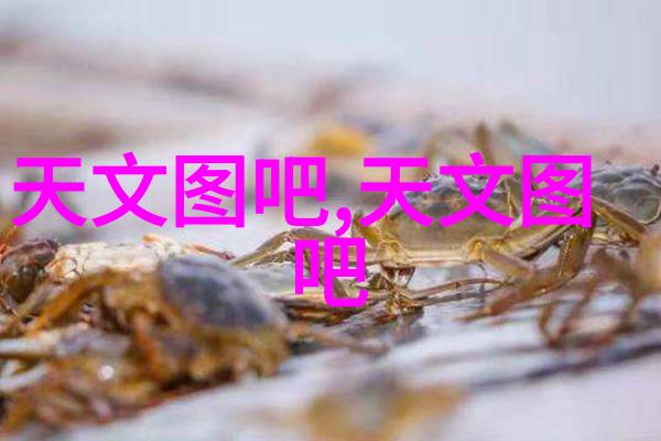 废旧设备回收与二手设备的新生命周期