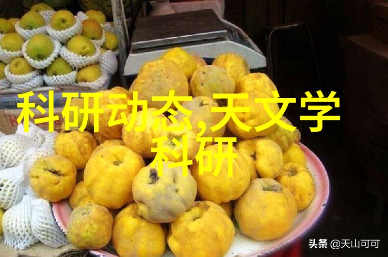 粉土机筛土一体机高效工程机械设备