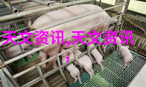 宁波城市职业技术学院梦想的起点与未来之城
