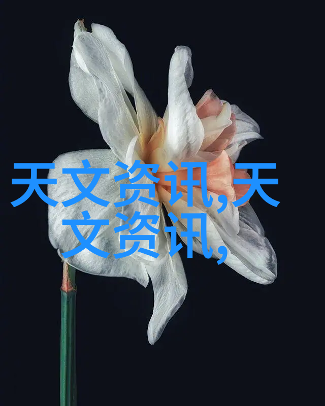 黑色之巢沥青混凝土的秘密世界