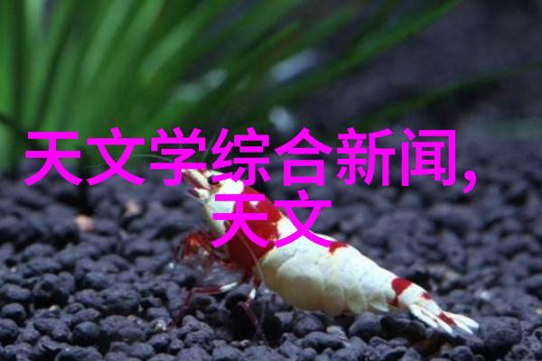 工业级制冷解决方案提供商