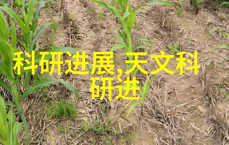 钢管消防涂塑生产厂家-火焰测试的坚固守护者钢管消防涂塑技术与应用