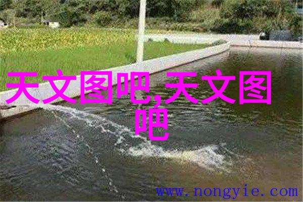 中车股票在市场中的表现能否反映其作为权重股的地位