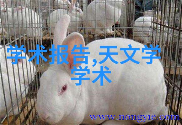商用密码应用安全测评机构保障企业数据安全的重要枢纽