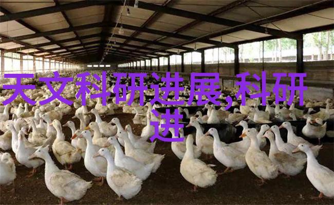 机器之心液体的舞者