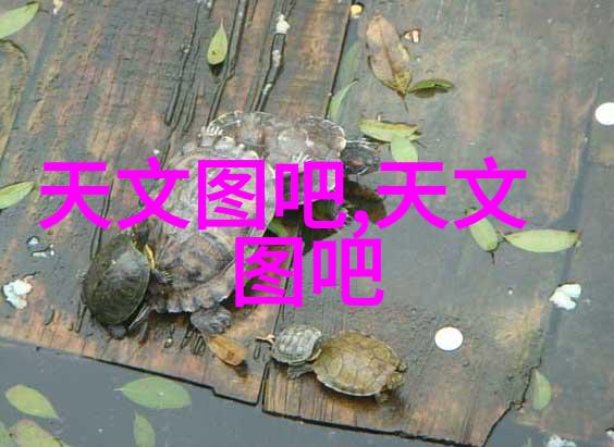 过氧化氢消毒机专业制造商高效杀菌设备生产厂家