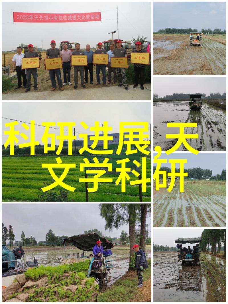 全世界芯片制造商排名我来告诉你谁是最强的