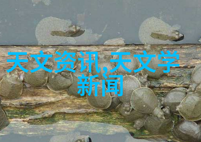 社会中员工换衣间的不锈钢多门衣柜附近有专门的不锈钢加工店提供服务