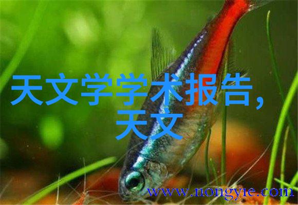 倍智人才测评138题精准分析高效职业发展与个人成长