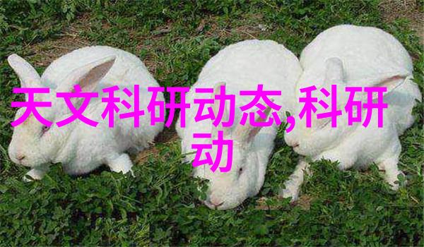 PE管件价格最新表揭秘管道之谜笑傲全网