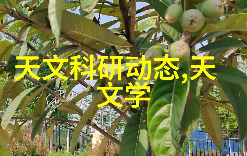 化工装置的设计原则与应用