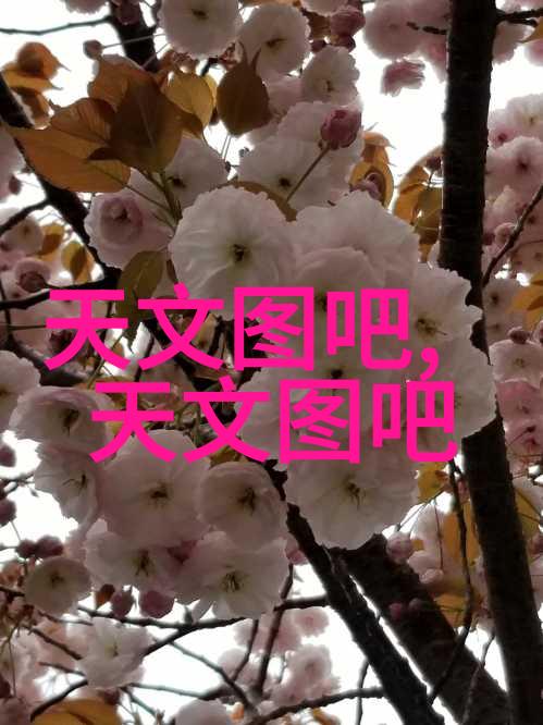 如何正确维护和清洁pp-r管材
