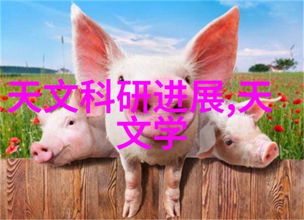 碎裂与重生超微粉碎机的双面真相