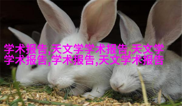 2014维多利亚秘密内衣秀高清写真