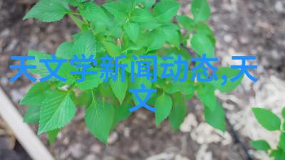 实验室选矿设备精准分离效率双增
