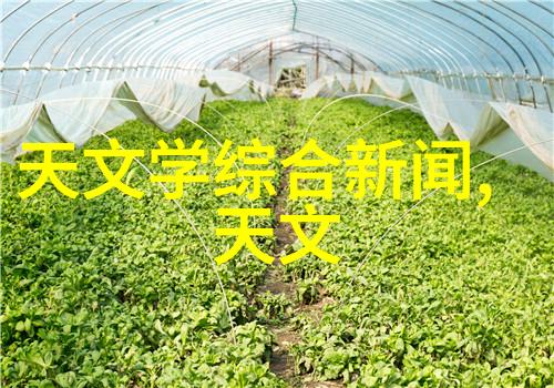 云中歌小说云端音乐的诗意篇章