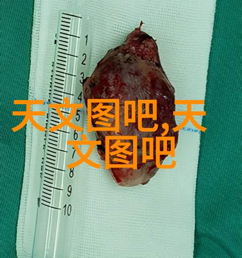 鲜丰盛景探秘城市水果批发市场的生机与活力
