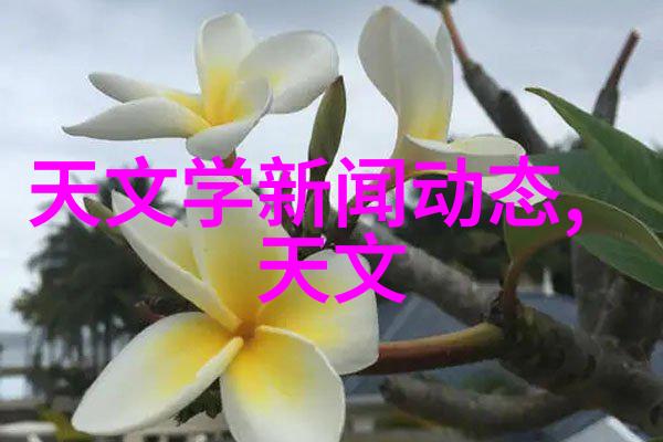 动物反应器软件下载-精准解析动物行为的科技助手