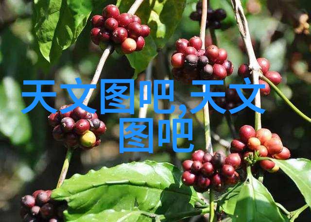 智慧之花三花智能股票的秘密