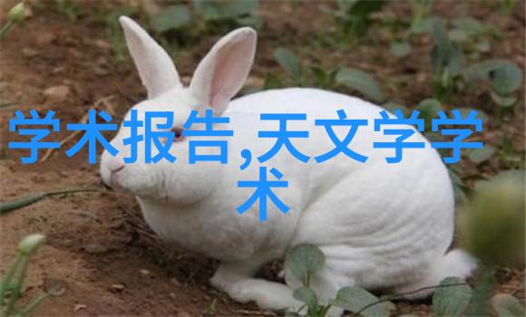 从基础知识到实践技巧深入了解并掌握反作用法则