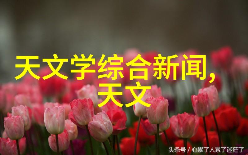 个人工作汇报中的语言表达应该遵循哪些原则