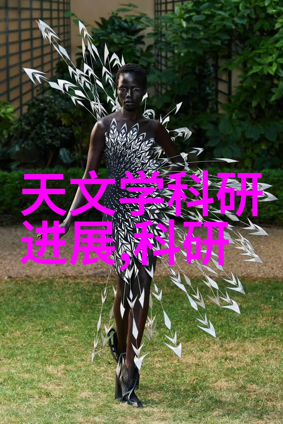 旋转的精髓管式离心机的结构奇观