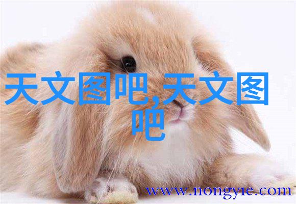 PVC下水道管件全景图鉴详解管材与配件的完美搭配