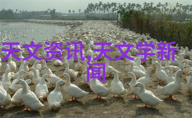 安全操作规程确保化工丸剂机械运行顺畅